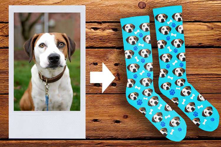 Individuelle Hundesocken Neuer Hotspot