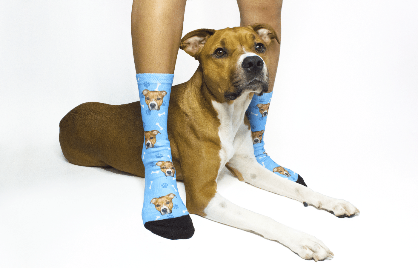 Individuelle Hundesocken mit Bild, Neuer Hotspot!